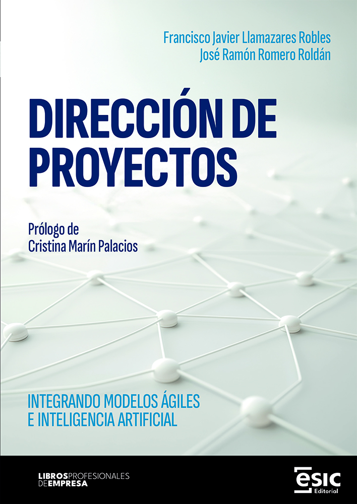 DIRECCIÓN DE PROYECTOS